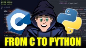 Recreating Python’s Core in C: Lists, Strings, and Dictionaries